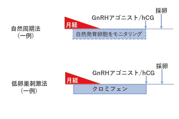自然周期法（一例）、低卵巣刺激法（一例）