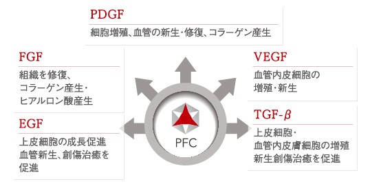 PFCにはPDGF、VEGF、TGF-β、EGF、FGFの作用がある