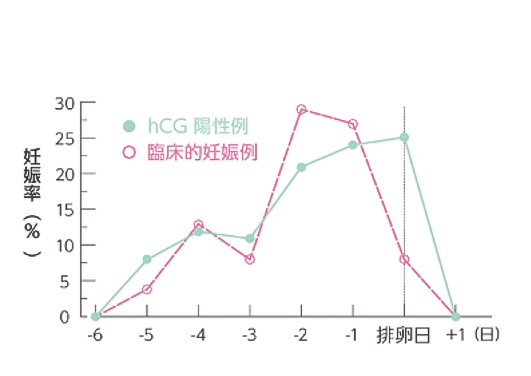 妊娠率と排卵日のグラフ：排卵日の前々日と前日に性交渉を持た時の妊娠率が高い