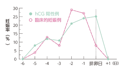 妊娠率と排卵日のグラフ：排卵日の前々日と前日に性交渉を持た時の妊娠率が高い